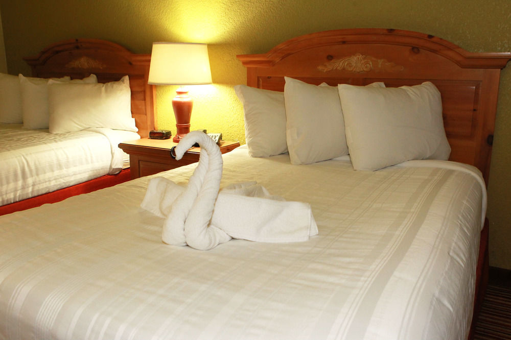 Hotel Dreams