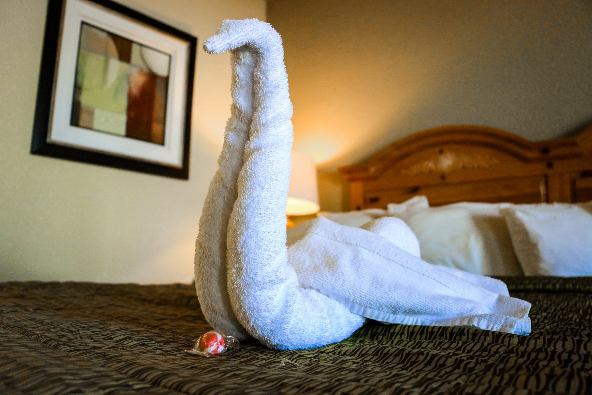 Dreams Hotel Mattoon