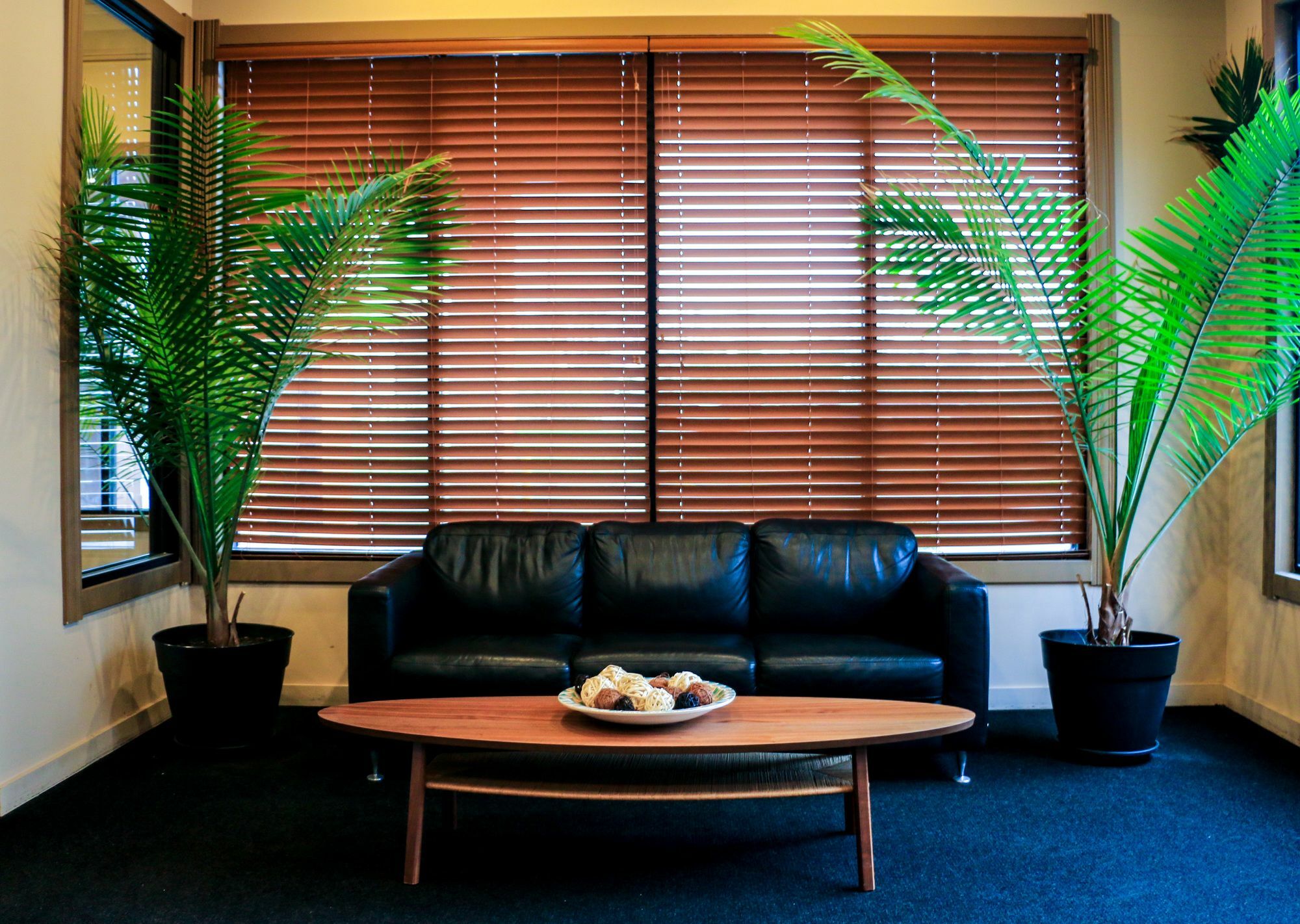 Dreams Hotel Mattoon
